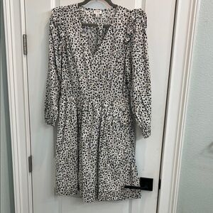 J. Crew Cream Leopard Print V-Neck Long Sleeve Dress